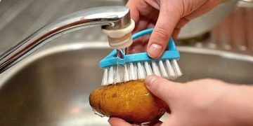 Rosselkhoznadzor specialists checked a potato field in the Volga region