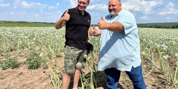 In the next two years, 17 vegetable stores are planned to be built in the Moscow region