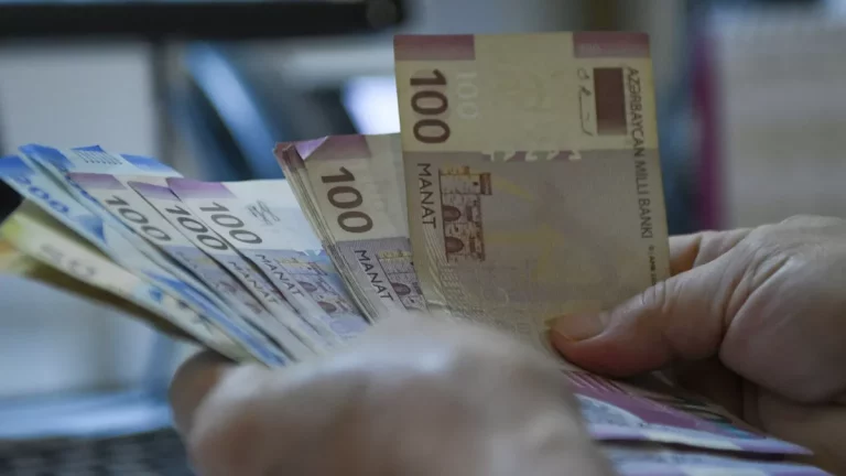 تم توجيه 96 ٪ من جميع القروض التفضيلية الممنوحة لأصحاب المشاريع لتطوير المشاريع في مجمع الصناعات الزراعية في أذربيجان