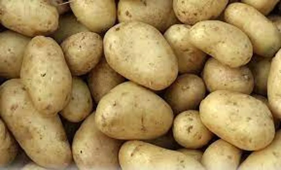 Australian potatoes Fruitnet