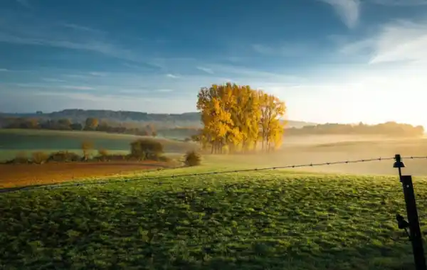 Decreasing acreage in Belgium 20 Decreasing acreage in Belgium