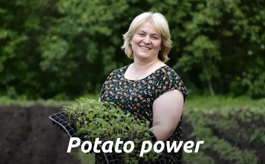 CIP annual report 2021 potato power