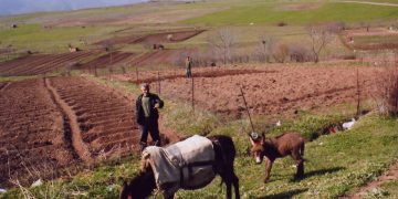 Armenian authorities will cover 50% of the cost of irrigation systems to farmers