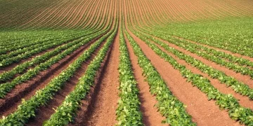 PCN Action Scotland to host open day at PCN trial site