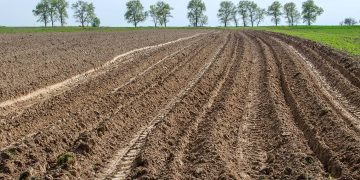 Iran plans to cultivate 1 million hectares of land in Venezuela