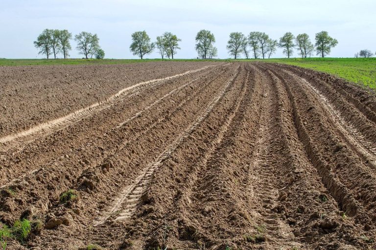 Iran plans to cultivate 1 million hectares of land in Venezuela 22 Iran plans to cultivate 1 million hectares of land in Venezuela