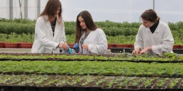 In Russia, named the main enemies of farmers this year