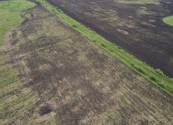500 hectares of agricultural land put into circulation in the Amur Region