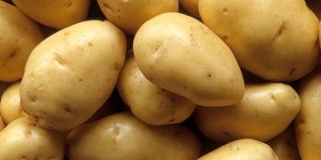 Azerbaijan reduced potato export by 15% in the first half of the year