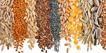 Rosselkhoznadzor prohibits the import of seeds from some nurseries in Europe and Canada