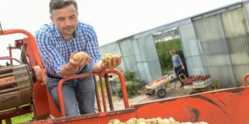 Aussie Farmers versus Processors in the Big Potato Price Battle