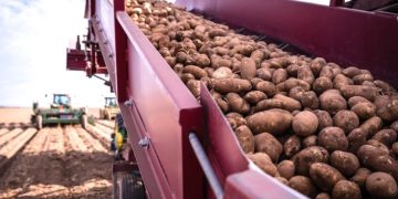 Potatoes from southern Colorado could soon be shipped to Mexico