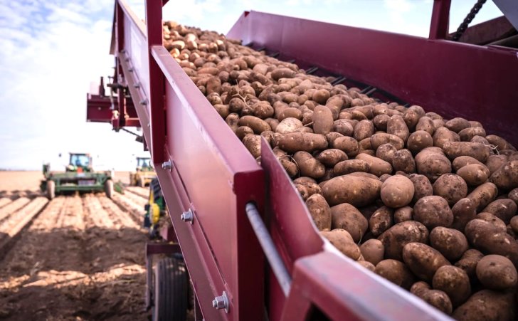 southern colorado shipping potatoes to mexico 1200