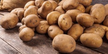 The first crop of potatoes appeared on the Ryazan shelves