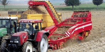 NEPG: potato harvest in EU4 countries drops 7 to 11 percent