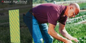 AgroScout teams up with AECI Plant Health across Africa