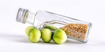 Solynta raises € 21 million in series C funding