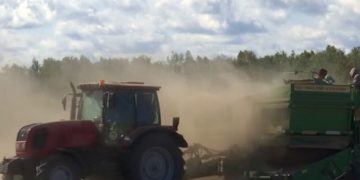 “320 centners per hectare”. Potato harvesting started in the northern regions of Belarus