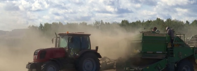“320 ceudnar gach heactair”. Thòisich buain buntàta ann an roinnean tuath Belarus