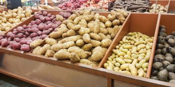 United States Retail potato sales (value) increased in Q2 of 2022