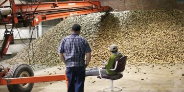 Maine potato farmers are ready with extra storage after 2021’s stellar crop