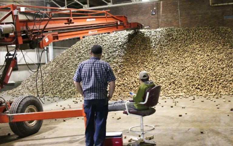 Maine potato farmers are ready with extra storage after 2021’s stellar crop