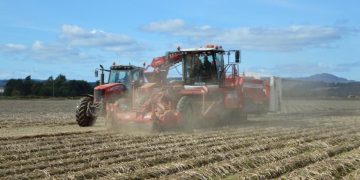 UK drought: Many potato farmers ‘seriously considering future viability’ of the crop