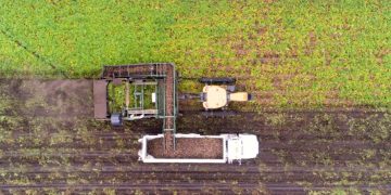 Canadian crop update: Harvest wrapping up with variable yields reported across the country