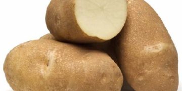 Teton Russet marks newest potato variety to be used for McDonald’s ‘World Famous Fries’