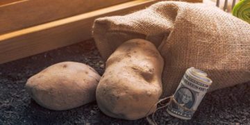 Idaho’s Potato Sales Value Up to USD1.04bn in 2021