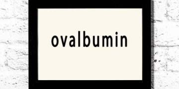 Novel Technology Capable of Producing Egg Protein in Potatoes