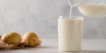 The Potato Protein Market is on the Rise