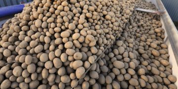 Canadian legislation against the spread of warts