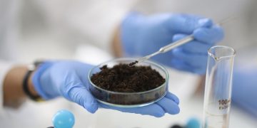 SOIL SCIENTISTS ESTIMATED THE ABILITY OF SOIL HYDROGELS TO TAKE AND HOLD MOISTURE