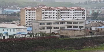 So sad: Residents in North Korea’s Yanggang Province roam cities to collect waste potato peels for food