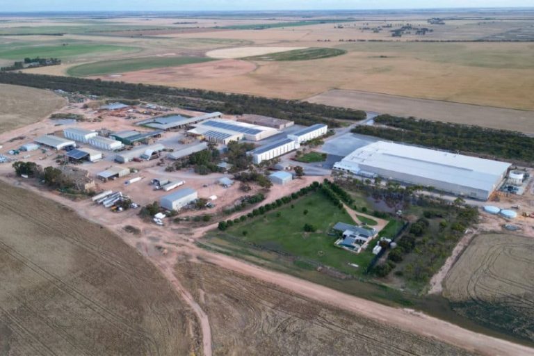 V Austrálii se otevírá největší zařízení na balení brambor svého druhu na jižní polokouli