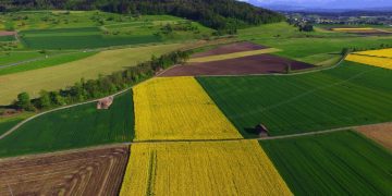 New report on ‘Agricultural Sustainability and Food Production’ released