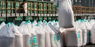 The fertilizer and food market cannot recover without Russia