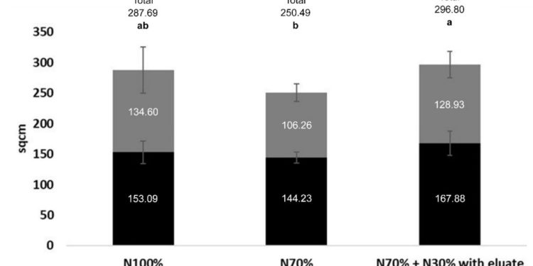 Effect of the eluate on plant growth. The replacement of 30%N with the eluate filled the gap and surpassed N100% in the first growth phase (dark gray) and in total growth. The numbers in the bars are expressed in sqcm and indicate the difference between T0–T1 and T1–T2, while the total growth is shown above the bars. Thin light gray bars indicate 95% confidence interval. Bars labeled with different letters differ significantly (p < 0.05, Duncan test). Credit: Land (2022). DOI: 10.3390/land11091544