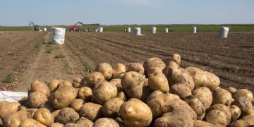 Online meetings of Europatat’s new commissions