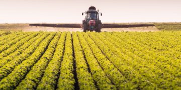 “One of our main competitors is Excel”: how startups are changing agriculture