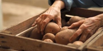 European Potato Growers Try to Avoid Storage Costs