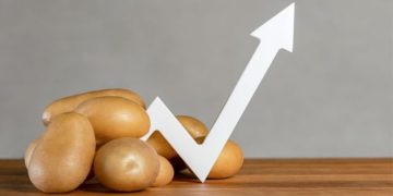 Successful U.S. Potato Exports in 2022