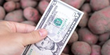 Turkey Supports Seeding Prohibition in Areas Infested With Potato Wart