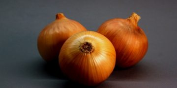 Russian scientists have created the country’s first onion hybrid with resistance to a number of diseases