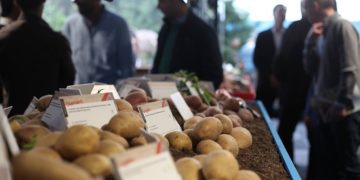 Agrico pays producers almost 20 percent more