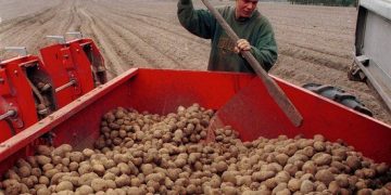 RAS IS LOOKING FOR WAYS TO SAVE THE COUNTRY’S AGRICULTURE FROM CHRONIC IMPORT DEPENDENCE