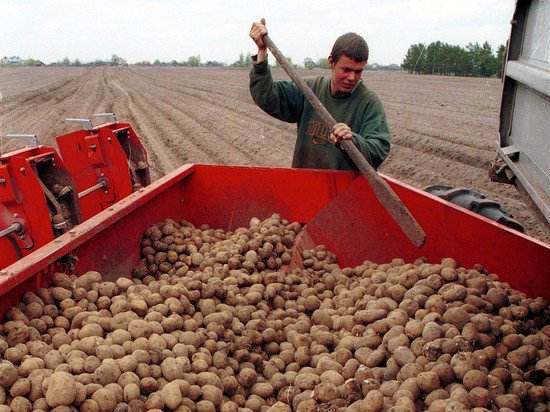RAS BUSCA FORMAS DE SALVAR A LA AGRICULTURA DEL PAÍS DE LA DEPENDENCIA CRÓNICA DE LAS IMPORTACIONES