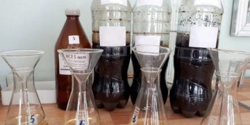 SCIENTISTS OF THE SPB FRC RAS HAVE SEPARATED COMPOUNDS INCREASING THE YIELD OF AGRICULTURAL CROPS FROM THE BOTTOM SEDIMENTS OF LAKES