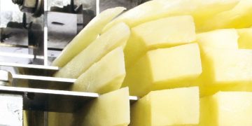 Colombia anti-dumping duties on frozen fries:European exporters welcome WTO appeal body ruling